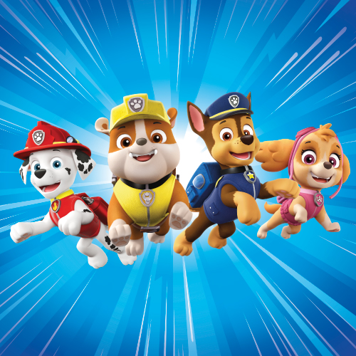 PAW PATROL PAW PATROL