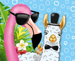 LAMA & FLAMINGO LAMA & FLAMINGO